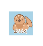 動く！並うずらスタンプ（個別スタンプ：1）
