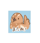 動く！並うずらスタンプ（個別スタンプ：4）