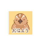 動く！並うずらスタンプ（個別スタンプ：6）