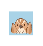 動く！並うずらスタンプ（個別スタンプ：10）