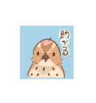 動く！並うずらスタンプ（個別スタンプ：12）