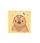 動く！並うずらスタンプ（個別スタンプ：13）