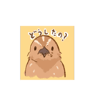 動く！並うずらスタンプ（個別スタンプ：15）
