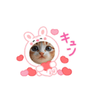 oirann50（個別スタンプ：2）