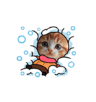 oirann50（個別スタンプ：5）