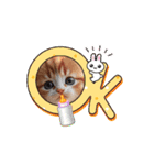 oirann50（個別スタンプ：7）