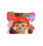 oirann50（個別スタンプ：9）