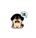 動く！かわいいわんこ（個別スタンプ：4）