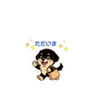 動く！かわいいわんこ（個別スタンプ：12）