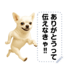 エッホエッホ 伝えなきゃ チワワだよ！（個別スタンプ：5）