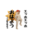 ネッコのスタンプ.（個別スタンプ：1）