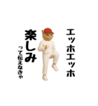 ネッコのスタンプ.（個別スタンプ：13）