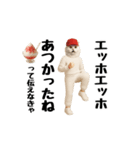 ネッコのスタンプ.（個別スタンプ：14）