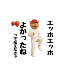 ネッコのスタンプ.（個別スタンプ：15）
