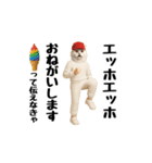 ネッコのスタンプ.（個別スタンプ：21）