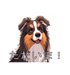 コリーがいっぱい（個別スタンプ：12）