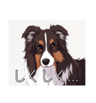 コリーがいっぱい（個別スタンプ：23）