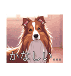 コリーがいっぱい（個別スタンプ：28）