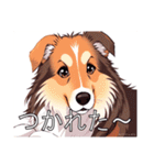 コリーがいっぱい（個別スタンプ：29）