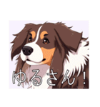 コリーがいっぱい（個別スタンプ：35）