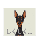 ドーベルマンがたくさん（個別スタンプ：18）