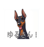 ドーベルマンがたくさん（個別スタンプ：36）