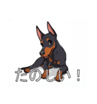 ドーベルマンがたくさん（個別スタンプ：37）