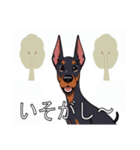 ドーベルマンがたくさん（個別スタンプ：40）