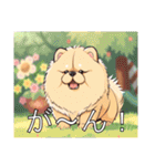 チャウチャウがいっぱい（個別スタンプ：24）