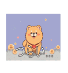チャウチャウがいっぱい（個別スタンプ：31）