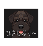 ブービエ・デ・フランダースがいっぱい（個別スタンプ：9）