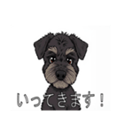 ブービエ・デ・フランダースがいっぱい（個別スタンプ：16）