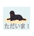 フラットコーデットレトリバーがいっぱい（個別スタンプ：13）