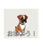 ボクサーがいっぱい（個別スタンプ：1）