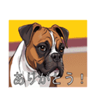 ボクサーがいっぱい（個別スタンプ：5）
