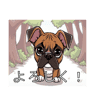 ボクサーがいっぱい（個別スタンプ：7）