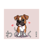 ボクサーがいっぱい（個別スタンプ：23）