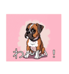 ボクサーがいっぱい（個別スタンプ：27）