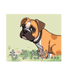 ボクサーがいっぱい（個別スタンプ：29）