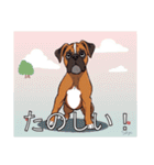 ボクサーがいっぱい（個別スタンプ：36）