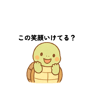 社会人の亀さん（個別スタンプ：5）