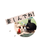 ゆる〜Labbitーfriend（個別スタンプ：3）