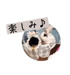 ゆる〜Labbitーfriend（個別スタンプ：4）
