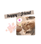 ゆる〜Labbitーfriend（個別スタンプ：15）
