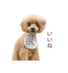 モコモコ モコちゃん♪（個別スタンプ：4）