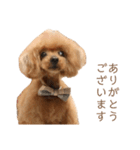 モコモコ モコちゃん♪（個別スタンプ：9）