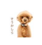 モコモコ モコちゃん♪（個別スタンプ：14）
