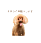 モコモコ モコちゃん♪（個別スタンプ：22）