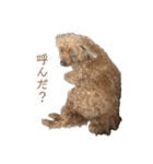 モコモコ モコちゃん♪（個別スタンプ：34）