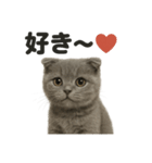 優しいマンチカン猫の日常会話LINEスタンプ（個別スタンプ：4）